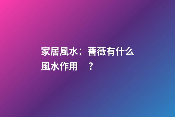 家居風水：薔薇有什么風水作用？